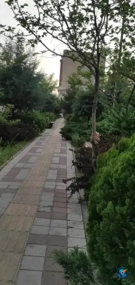 عکس بوستان زمرد، محله شیخ آباد، قم 2