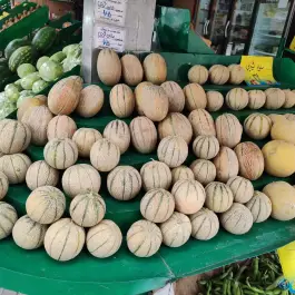 میوه و تره بار دهقان ویلا کرج