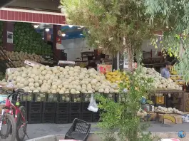 عکس فروشگاه میوه و سبزیجات کشاورز واقعی، جهان بینی، قم 2