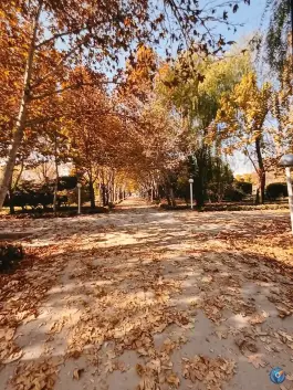 عکس باغ غدیر اصفهان، رکن الدوله شرقی، اصفهان 9
