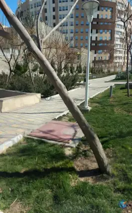 عکس بوستان عطار نیشابوری، زنبیل آباد، قم 3