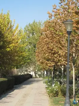 عکس های بوستان مادر، کیانمهر، کرج