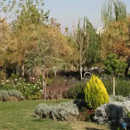 عکس بوستان مادر، کیانمهر، کرج 8