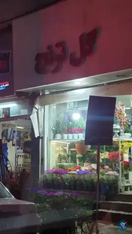 عکس گل سرای ترنج، شهرک فهمیده، کرج 2