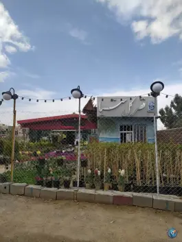 قصر گل ستیا بلوار امام رضا قم