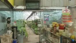عکس قصر گل ستیا بلوار امام رضا قم 6