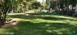بوستان علوی محله تاچارا شیراز