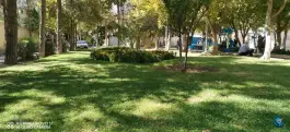 عکس بوستان علوی محله تاچارا شیراز 2