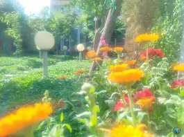 عکس ویلا استخر دار آب گرم پارادایس، آق آباد، گنبدکاووس 10