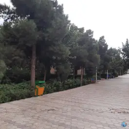 بوستان نسیم، محله لسانی، قم