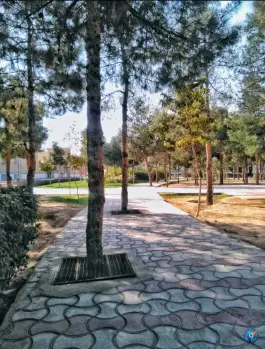 عکس بوستان نسیم، محله لسانی، قم 2
