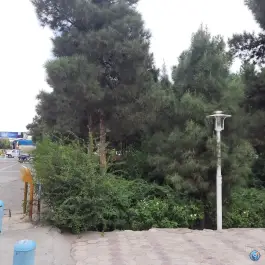 عکس بوستان نسیم، محله لسانی، قم 3