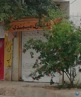 عطاری میمندی، پانصد دستگاه ارتش، شیراز