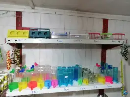 پرنده سرای کاردینال، احمدیه، شیراز
