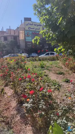 عکس فست فود ترنج «پردیسان» سلفچگان 2