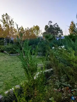 بوستان خانواده شعبه 4، محله مبعث، شیراز