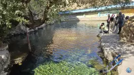 عکس استخر خمده فیروزکوه 8