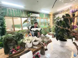 عکس گل ویکتور، زنبیل آباد، قم 2