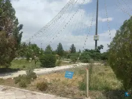 عکس دانشگاه سمنان، بلوار جوان، سمنان 5