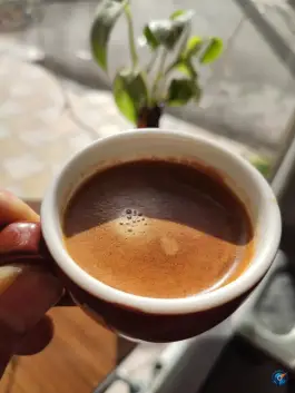 عکس پیتزا ناپل، محله شهید محمودی، الیگودرز 5