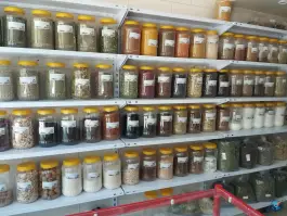 عکس عطاری بهشت، زنبق «شهرک کوثر»، اصفهان 2