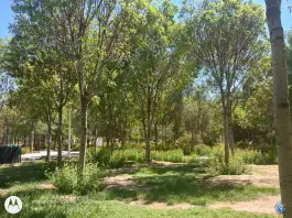 پارک شهریار، زند آباد، قم