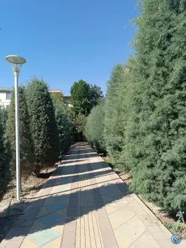عکس بوستان خیابان ۲۰۶ مهرشهر کرج 3