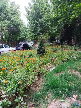 عکس بوستان خیابان ۲۰۶ مهرشهر کرج 5