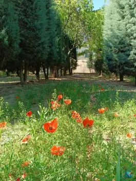 عکس بوستان خیابان ۲۰۶ مهرشهر کرج 6
