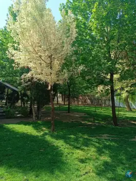 عکس بوستان خیابان ۲۰۶ مهرشهر کرج 10
