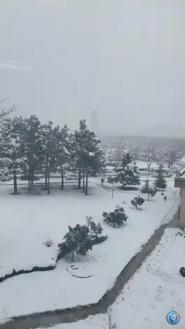 بوستان شیدای اصفهانی شمالی، کوی ولی عصر، اصفهان