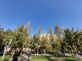 عکس بوستان کودک - محله باغ کرباسی، قم 4