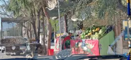 میوه فروشی - محله زند آباد، قم