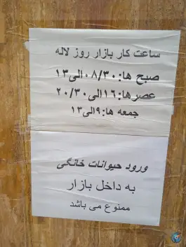 عکس بازار روز لاله، چهارصد دستگاه، کرج 2