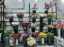 گل فروشی رزاگل، شهرک فرهنگیان، شیراز