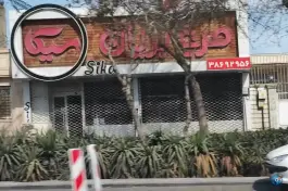 عکس مرغ بریان سیکا، شریف، مشهد 3