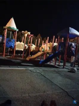 عکس پارک محله ای امام رضا، محله فرگاز، شیراز 4
