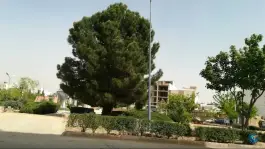 عکس پارک محله ای امام رضا، محله فرگاز، شیراز 8
