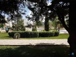 عکس پارک محله ای امام رضا، محله فرگاز، شیراز 10