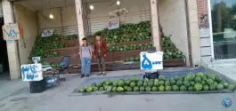 عکس هندوانه فروشی مردی، قلعه کامکار، قم 5