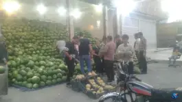 عکس هندوانه فروشی مردی، قلعه کامکار، قم 8