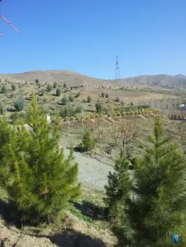 عکس دهکده تفریحی و گردشگری باغستان، باغستان غربی، کرج 6