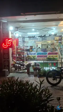 گل فروشی راشین برازنده اصفهان