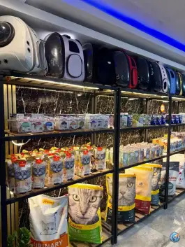 عکس پت شاپ چنگو عظیمیه کرج 2