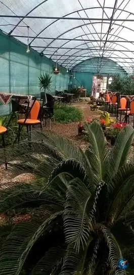 عکس کافه گلخونه دانشگاه ارغوانیه اصفهان 4