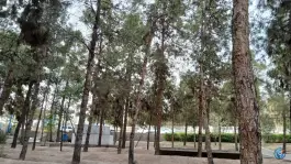 عکس بوستان فدک، آزادراه امیرکبیر، قم 10