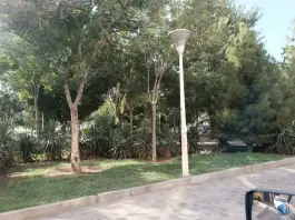عکس بوستان ساحل، بلوار امین، قم 7