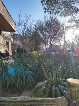 عکس بوستان ساحل، بلوار امین، قم 9