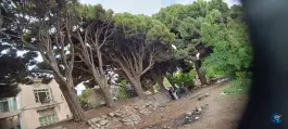 قلعه نو اندرخ، اندرخ، مشهد