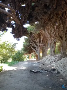 عکس قلعه نو اندرخ، اندرخ، مشهد 2